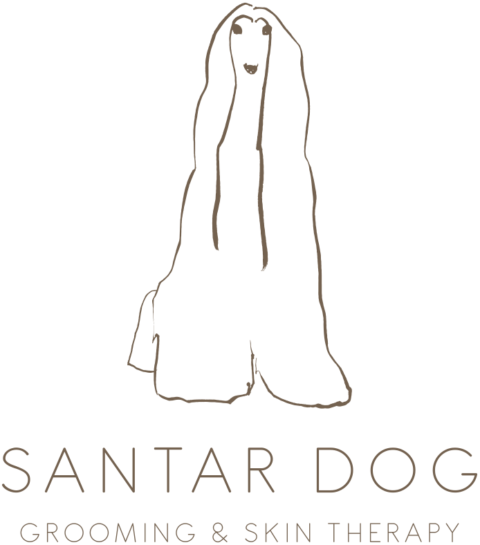 SANTAR DOG